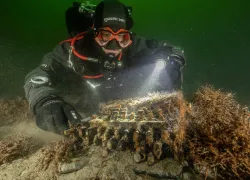 A diver hovers over the newly discovered Enigma machine in the Baltic Sea.