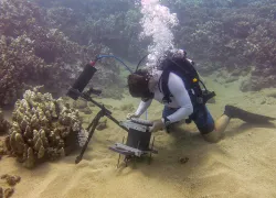 scuba diving underwater microscope