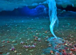 underwater_phenomena_brinicle_spd_.jpg.webp