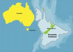 zealandia-shutterstock-crystal-eye-studio.jpg.webp