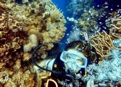zoe-lionfish-hunter.jpeg.webp