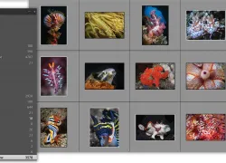 -lead-image.jpg.webp