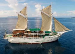-pindito_boat.jpg.webp
