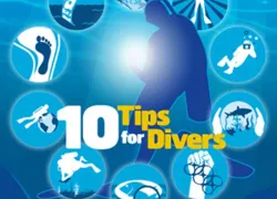tips_web-banner_xbig_.jpg.webp