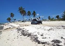 -CDL-.jpg.webp