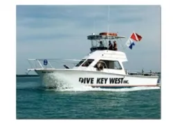 -dive_key_west__.jpg.webp