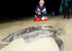 _larry_with_a_leatherback_sea_turtle_courtesy_larry_mckenna.jpg.webp