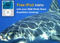 _free_ipod_nano.jpg.webp