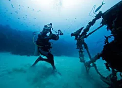 _bonaire_dis_.jpg.webp