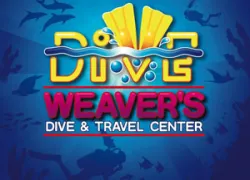 _nycu_weavers.jpg.webp