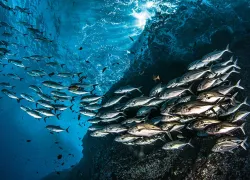 -craigdietrich-socorro.jpg.webp