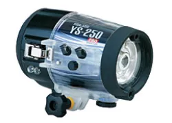 NYCU_seaandsea_yspro.jpg.webp