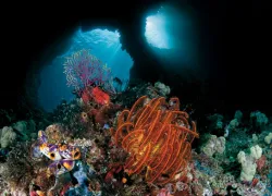 SCD_Contest_grand-prize_small_.jpg.webp