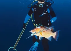 aae-spearfish_.gif.webp