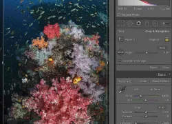 adobe-lightroom-tutorial-images-workflow.jpg.webp