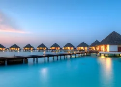adventures-app-sweeps-promo-photo-padi.jpg.webp