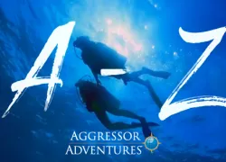 aggressor-az-video-teaser.jpeg.webp
