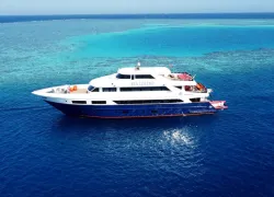 all_star_liveaboards_scuba_scene_article_images_x_image_.png.webp