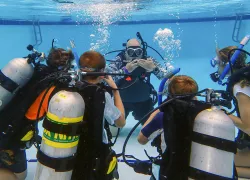 anesti-vega-sea-hero-pool-teaching_.jpg.webp