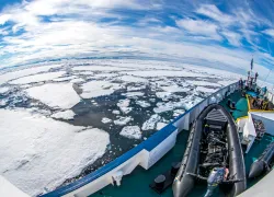 annie-crawley-arctic-diving-_edit.jpg.webp
