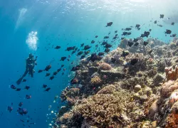 annie-crawley-bunaken-national-park.scubadivingmagazine.december.jpg.webp