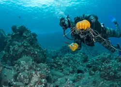 annie-crawley-clean-up-dive.jpg.webp