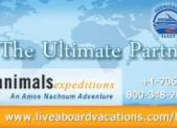 announce-x.jpg.webp