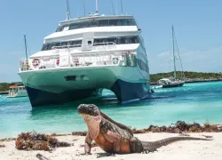 aq-off-allens-cay.scubadivingmagazine.november.jpg.webp