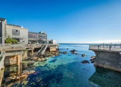 aquarium-diving-monterey-bay-great-tide-pool-.jpeg.webp