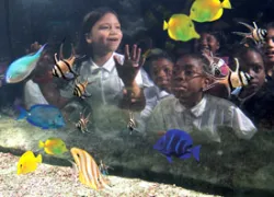 aquariumgrant_.jpg.webp