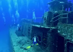 artificial-reef_.jpg.webp