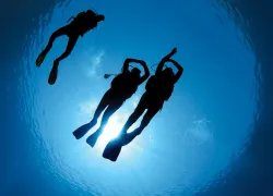 ask_the_experts_out_of_air_scd_curr_.jpg.webp