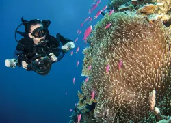 ask_the_experts_take_photos_safely_underwater_scd_tips.jpg.webp
