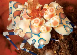 bali-lombok-.jpg.webp
