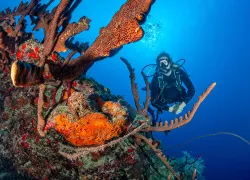 beginner-destinations-st-croix-steve-simonsen-.jpg.webp