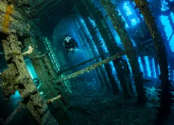 below_surface_tobias_friedrich__i__edit.jpg.webp