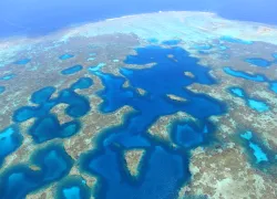 best-diving-western-australia-abrolhos-island-shutterstock_.jpg.webp