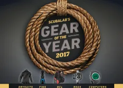 best-scuba-diving-gear--scubalab-gear-review-scuba-diving-_.jpg.webp