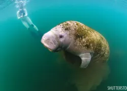 best_snorkeling_spots__florida_.jpg.webp