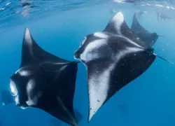best_year_end_travel_teaser_.jpg.webp
