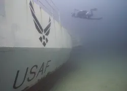 big-dawg-diver-.jpg.webp
