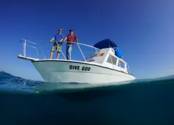 bimini-sands-scuba.jpg.webp