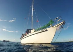 blackbeardsboat_x.jpg.webp