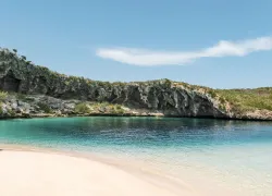 bmot-long-island-_teaser.jpg.webp