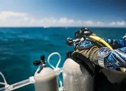 bn-l-sport-diver-_edit.jpg.webp