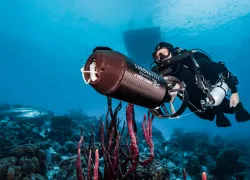 bonaire_dsc__edit.jpg.webp