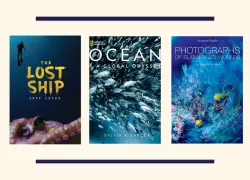 bookshelf_teaser.png.webp