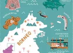 borneo-suba.jpg.webp