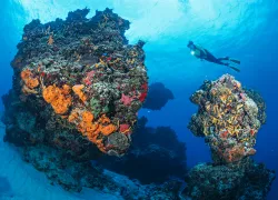 brandon_cole.scubadivingmagazine.augustjpg.jpg.webp