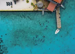 buddy-dive-aerial-lorenzo-mittiga.jpg.webp